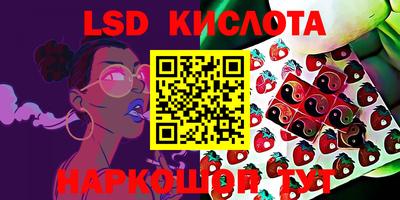 СК Конаково