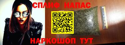 крисы Коммунар