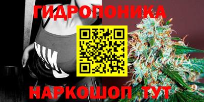 крисы Коммунар