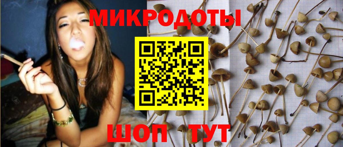 Псилоцибиновые грибы мухоморы Кисловодск