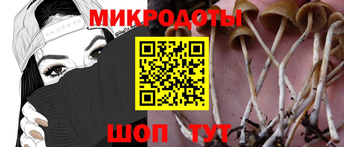 Кисловодск  закладка  Вход с VPN  Галлюциногенные грибы Cubensis 